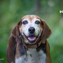 Thumbnail photo of Benji @ Foster #1