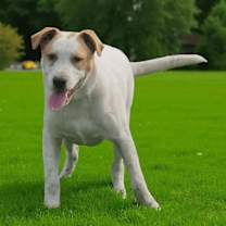 Thumbnail photo of Rubble #4