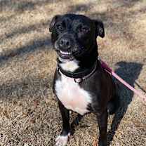 Thumbnail photo of Brooke #1