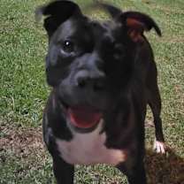 Thumbnail photo of Brooke #2