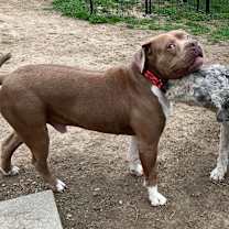 Thumbnail photo of Manhattan #4