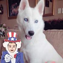 Thumbnail photo of Winter #1