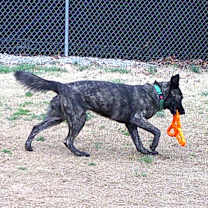 Thumbnail photo of TUNDRA #4