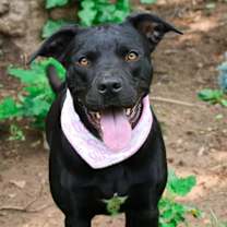 Thumbnail photo of Tula #1