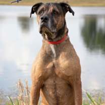 Thumbnail photo of Hank #2