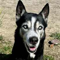 Thumbnail photo of Rick #1