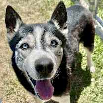 Thumbnail photo of Rick #2