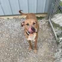 Thumbnail photo of Jax #3