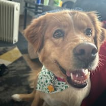 Thumbnail photo of Dixie #2