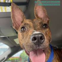 Thumbnail photo of Elin #1