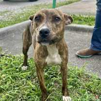 Thumbnail photo of Elin #2