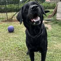 Thumbnail photo of River #2