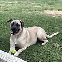 Thumbnail photo of Honey #3