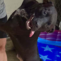 Thumbnail photo of Brian #2