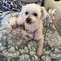 Thumbnail photo of Tyler #2