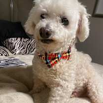 Thumbnail photo of Tyler #3