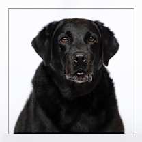 Thumbnail photo of Maddy #2