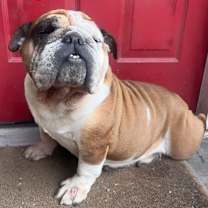 Thumbnail photo of Babs #1