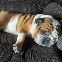 Thumbnail photo of Babs #2