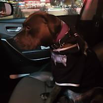 Thumbnail photo of Maddy #3