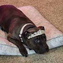 Thumbnail photo of Maddy #4