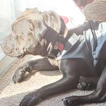 Thumbnail photo of Maddy #2