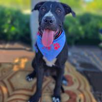 Thumbnail photo of Clifford #1