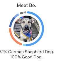 Thumbnail photo of Bo #4