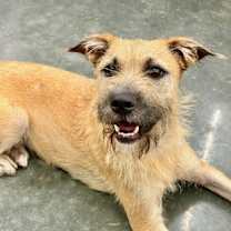 Thumbnail photo of Gertie #3