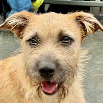 Thumbnail photo of Gertie #1