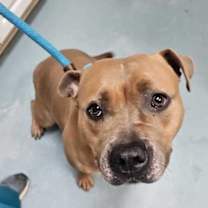 Thumbnail photo of Freyja #4