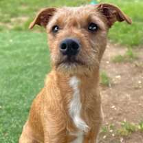 Thumbnail photo of Boo Boo #1