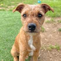 Thumbnail photo of Boo Boo #2