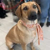 Thumbnail photo of Juliett #1