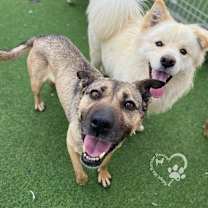 Thumbnail photo of Oz #4