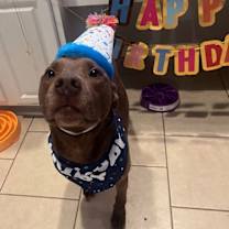 Thumbnail photo of Charlie #2