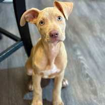 Thumbnail photo of Felipe #1