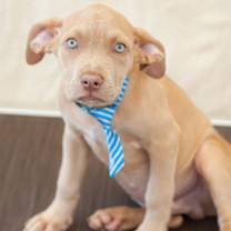 Thumbnail photo of Felipe #2