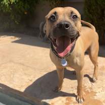 Thumbnail photo of Dozen  #2