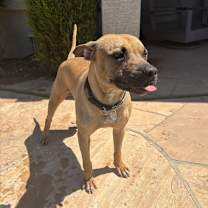 Thumbnail photo of Dozen  #3