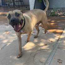 Thumbnail photo of Dozen  #4