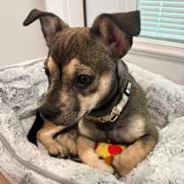 Thumbnail photo of Typhoon #3