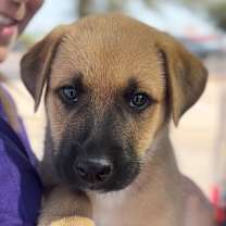 Thumbnail photo of Arlo #3