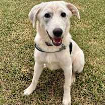 Thumbnail photo of Madison #1