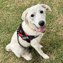 Thumbnail photo of Madison #3