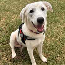 Thumbnail photo of Madison #4