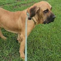 Thumbnail photo of Taarna #4