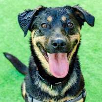 Thumbnail photo of Zelda #2