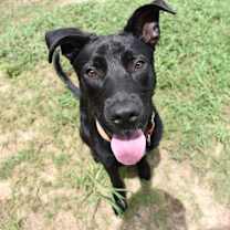 Thumbnail photo of P. Sherman 42 Wallaby Way *Syd #1