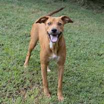 Thumbnail photo of Daisy #4